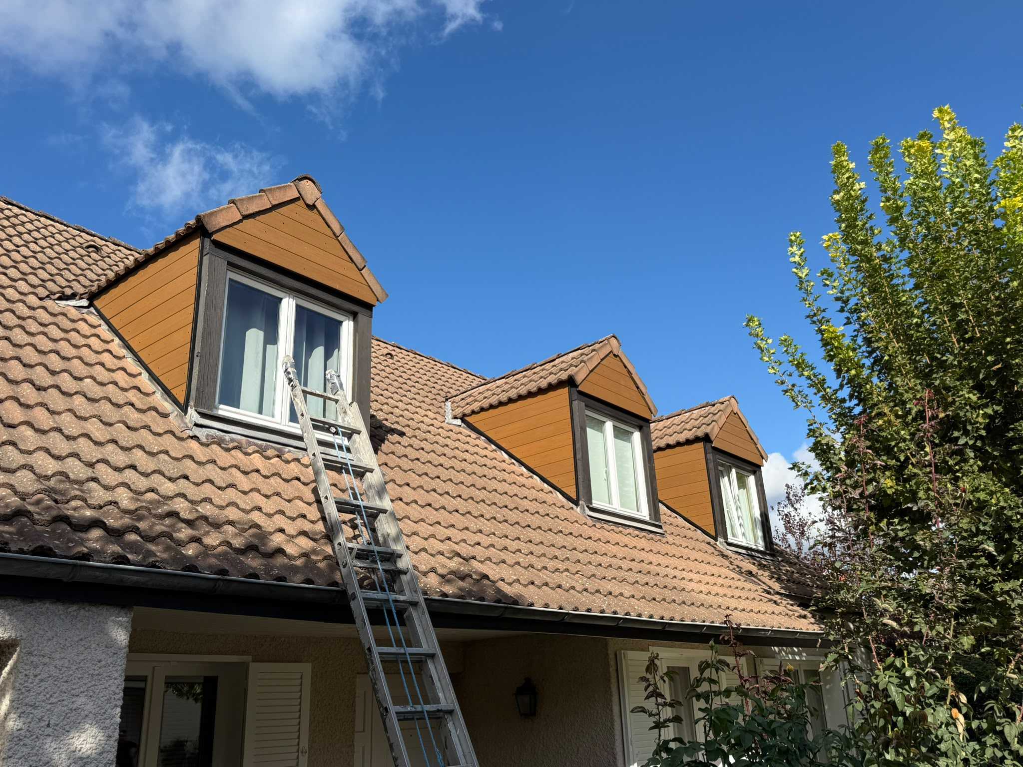 Toiture en tuiles avec trois lucarnes habillées de bois, une échelle posée contre le toit, sous un ciel bleu